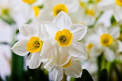 Steam新一周销量榜 《新世界》登顶